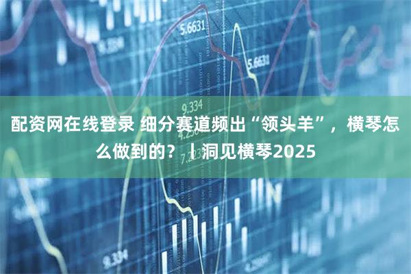 配资网在线登录 细分赛道频出“领头羊”，横琴怎么做到的？丨洞见横琴2025
